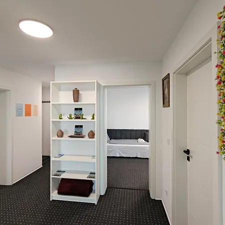 Modern Neuburg 79 - Neu - 3 - 6 Separate Betten, Ausgestattet, Smart Tv, Wi-fi Balkon * 多瑙河畔诺伊堡